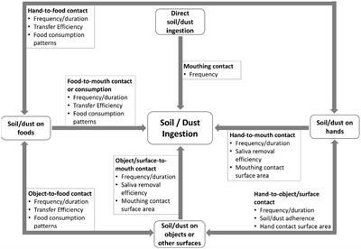 Methodologies for the collection of parameters to estimate dust/soil ingestion for young children